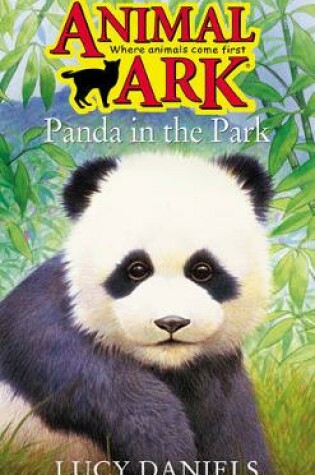 Cover of Panda in the Park