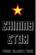 Book cover for Shining Star