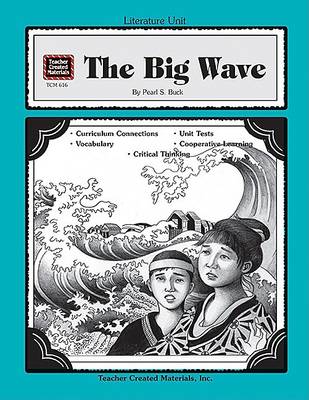 Book cover for A Guide for Using the Big Wave in the Classroom