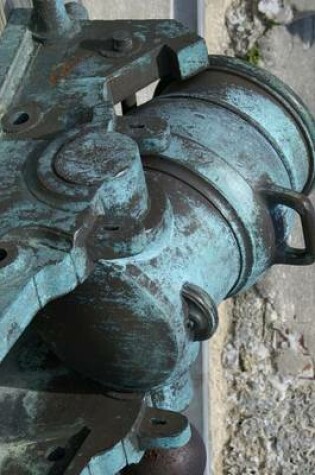 Cover of Website Password Organizer Cannon at the St Augustine Fort in Florida