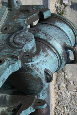 Book cover for Website Password Organizer Cannon at the St Augustine Fort in Florida