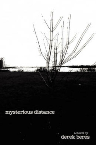 Cover of Mysterious Distance