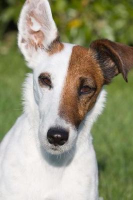 Book cover for Smooth Fox Terrier Journal