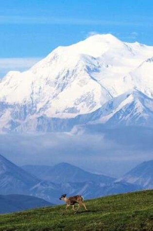 Cover of Mount McKinley, Alaska