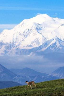 Book cover for Mount McKinley, Alaska