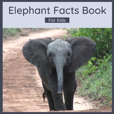 Book cover for Elephant Facts Book For Kids