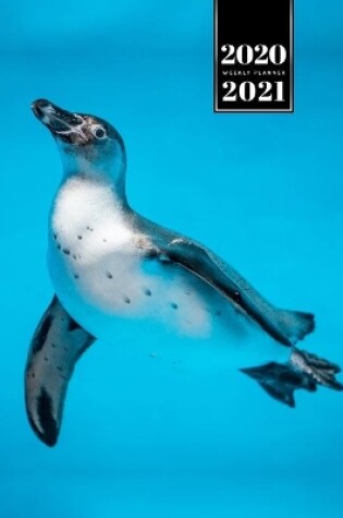 Cover of Penguin Puffin Antarctica Seabird Week Planner Weekly Organizer Calendar 2020 / 2021 - Underwater