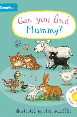 Cover of Can You Find Mummy?