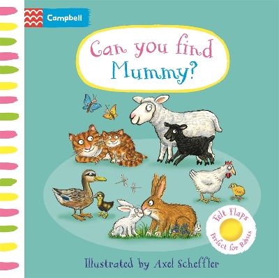 Book cover for Can You Find Mummy?