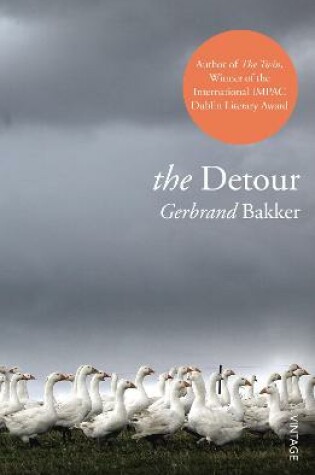 Cover of The Detour