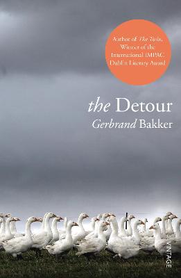 Book cover for The Detour