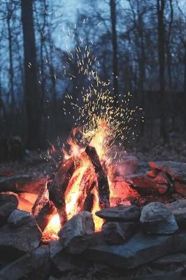 Book cover for Bonfire at the Campsite