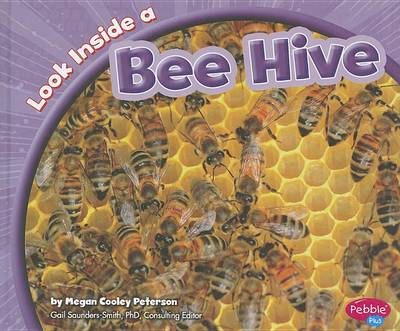 Book cover for Look Inside a Bee Hive