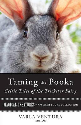 Book cover for Taming the Pooka, Celtic Tales of the Trickster Fairy