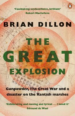 Book cover for The Great Explosion