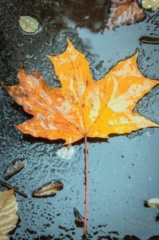 Cover of Autumn Leaf in Rain Journal