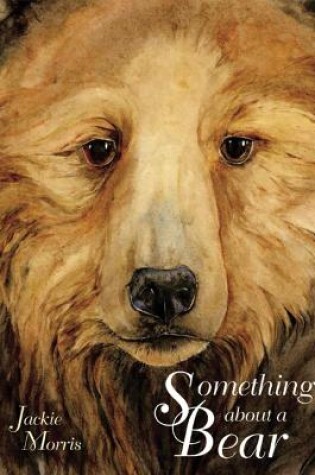 Cover of Something About a Bear