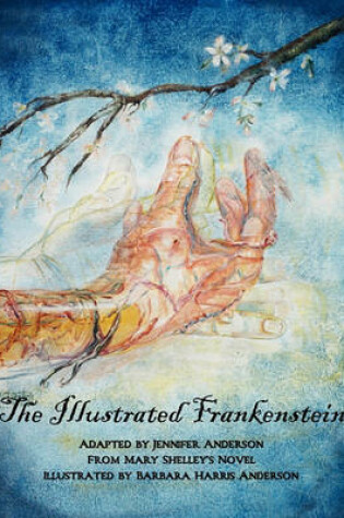 Cover of The Illustrated Frankenstein