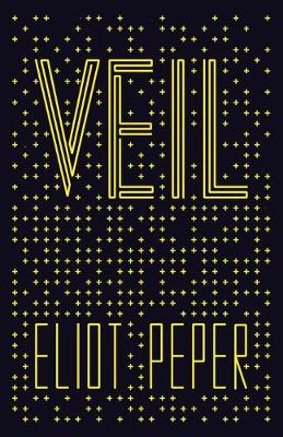 Book cover for Veil