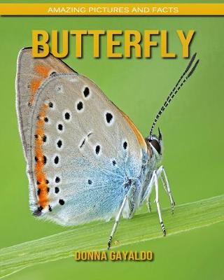 Book cover for Butterfly