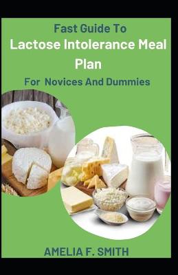 Book cover for Fast Guide To Lactose Intolerance Meal Plan For Novices And Dummies