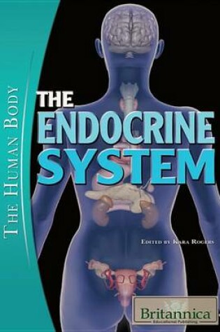 Cover of The Endocrine System