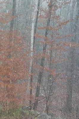 Cover of Journal Autumn Woods Foggy Morning Late Fall Trees