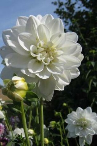 Cover of An Awesome White Dinner Plate Dahlia in a Sunny Flower Garden Journal