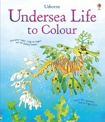 Book cover for Undersea Life to Colour