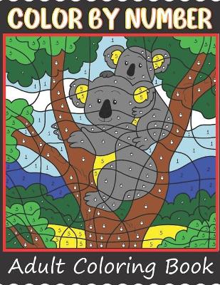 Cover of Color By Number Adult Coloring Book