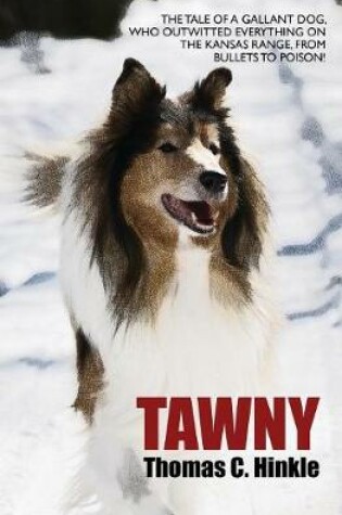 Cover of Tawny