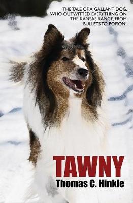 Book cover for Tawny