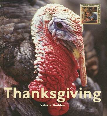 Book cover for Thanksgiving