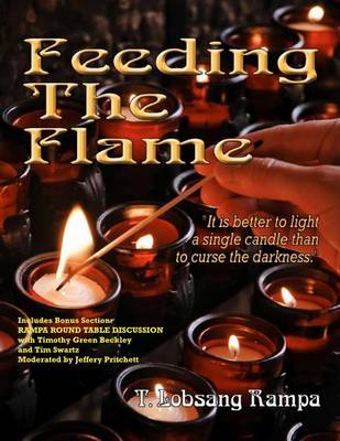 Book cover for Feeding The Flame