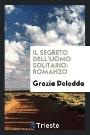 Cover of Il Segreto Dell'uomo Solitario