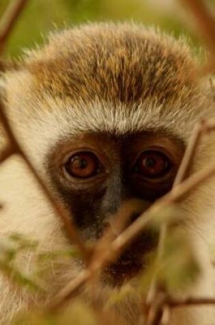 Cover of Adorable Baby Monkey Peeking Through the Branches Journal