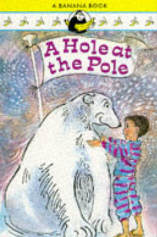 Cover of A Hole at the Pole