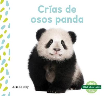 Book cover for Crías de Osos Panda (Panda Cubs)
