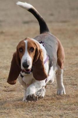 Book cover for Basset Hound Notebook