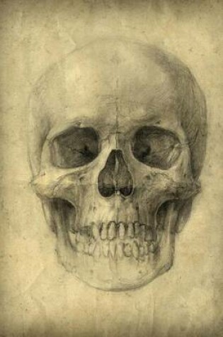 Cover of Drawing - Human Skull Study Journal