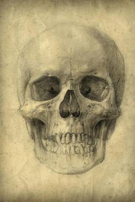 Book cover for Drawing - Human Skull Study Journal