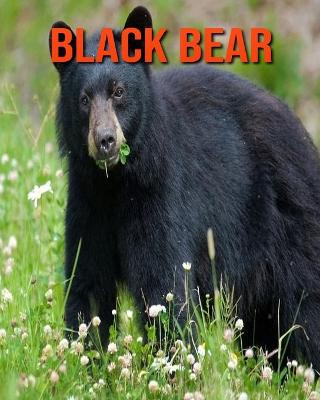 Book cover for Black Bear