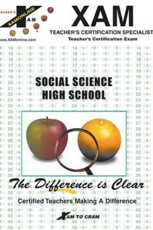 Cover of Instant Mttc Social Science High School