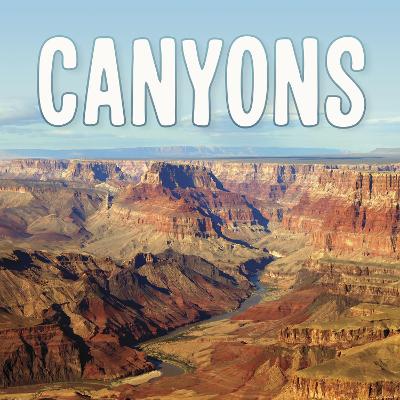 Book cover for Canyons