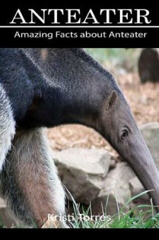 Cover of Amazing Facts about Anteater