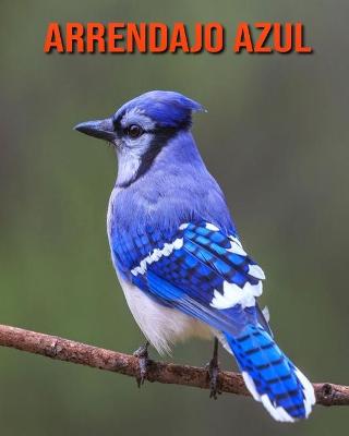 Book cover for Arrendajo azul