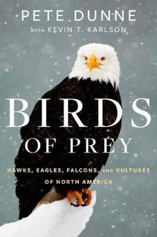 Cover of Birds Of Prey
