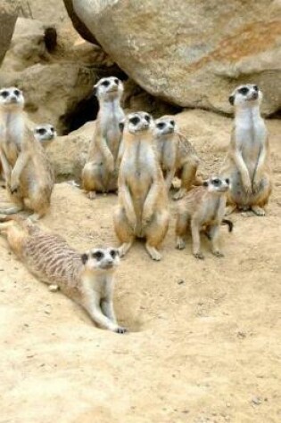 Cover of Photogenic Meerkat Family Journal