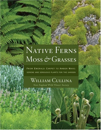 Book cover for Native Ferns, Moss & Grasses