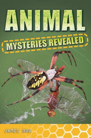 Cover of Animal Mysteries Revealed